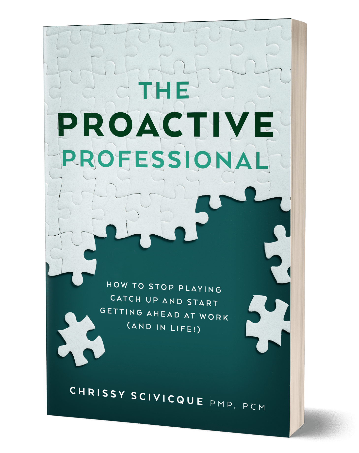 The Proactive Professional