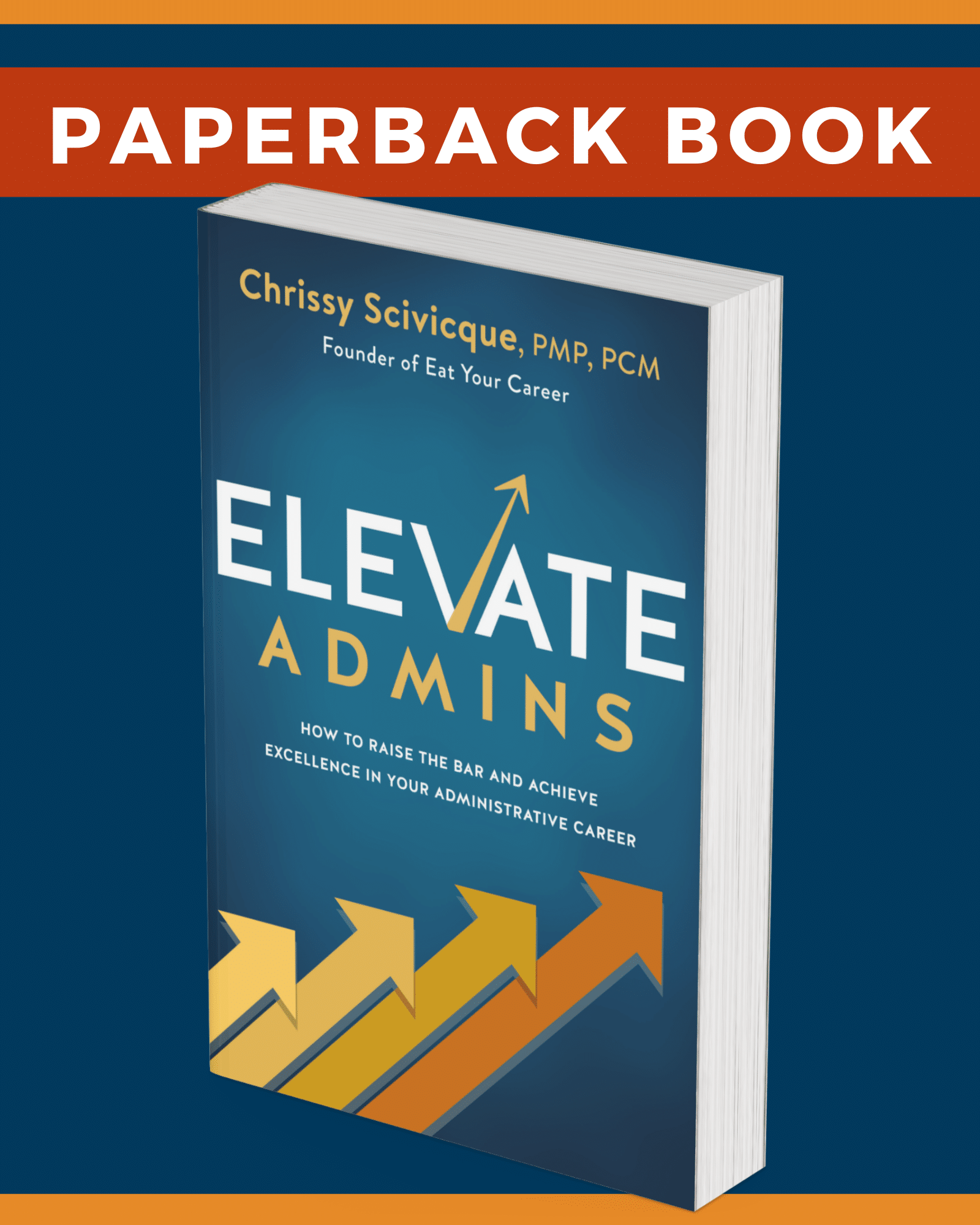 Reignite Your Professional Passion Book