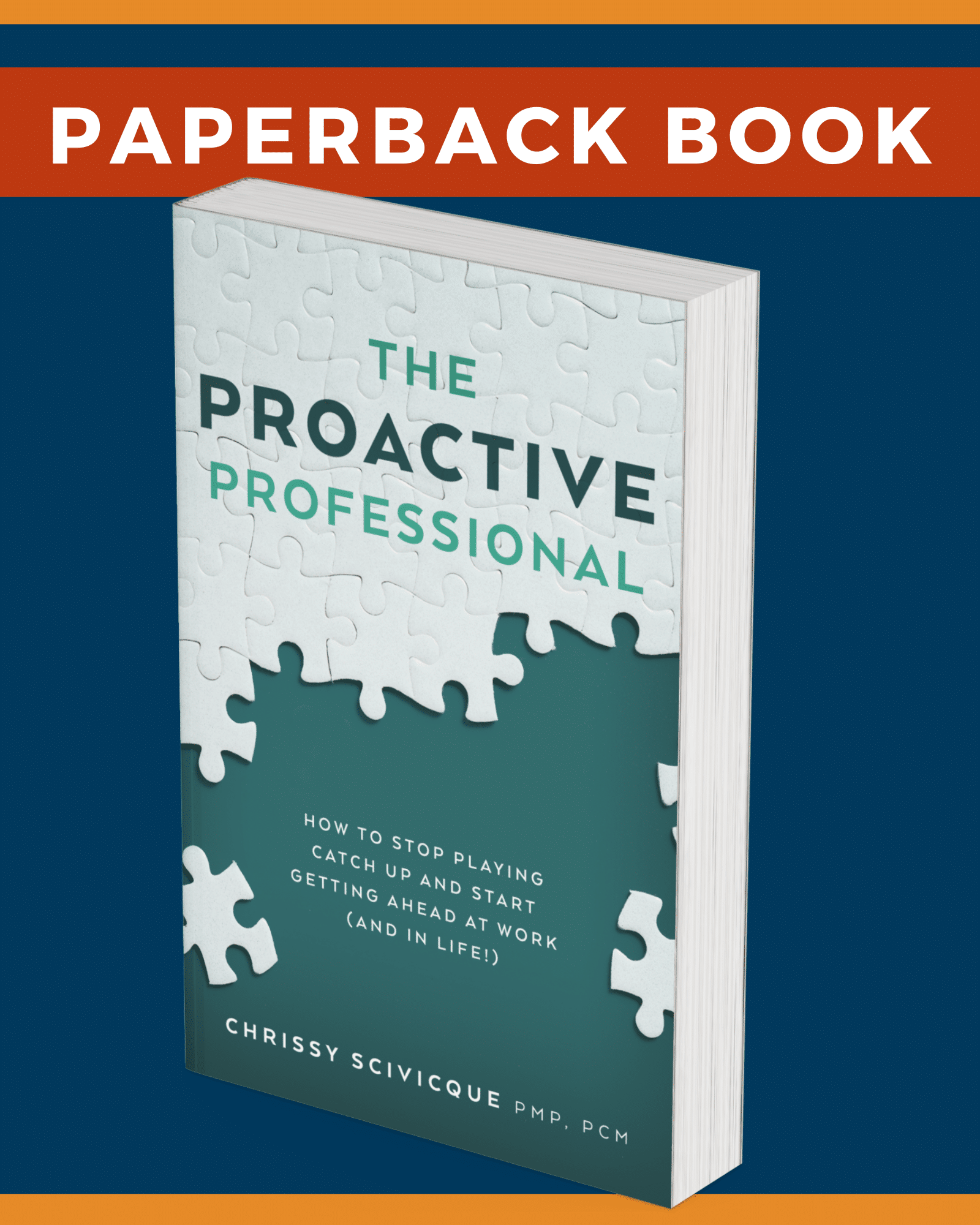 The Proactive Professional