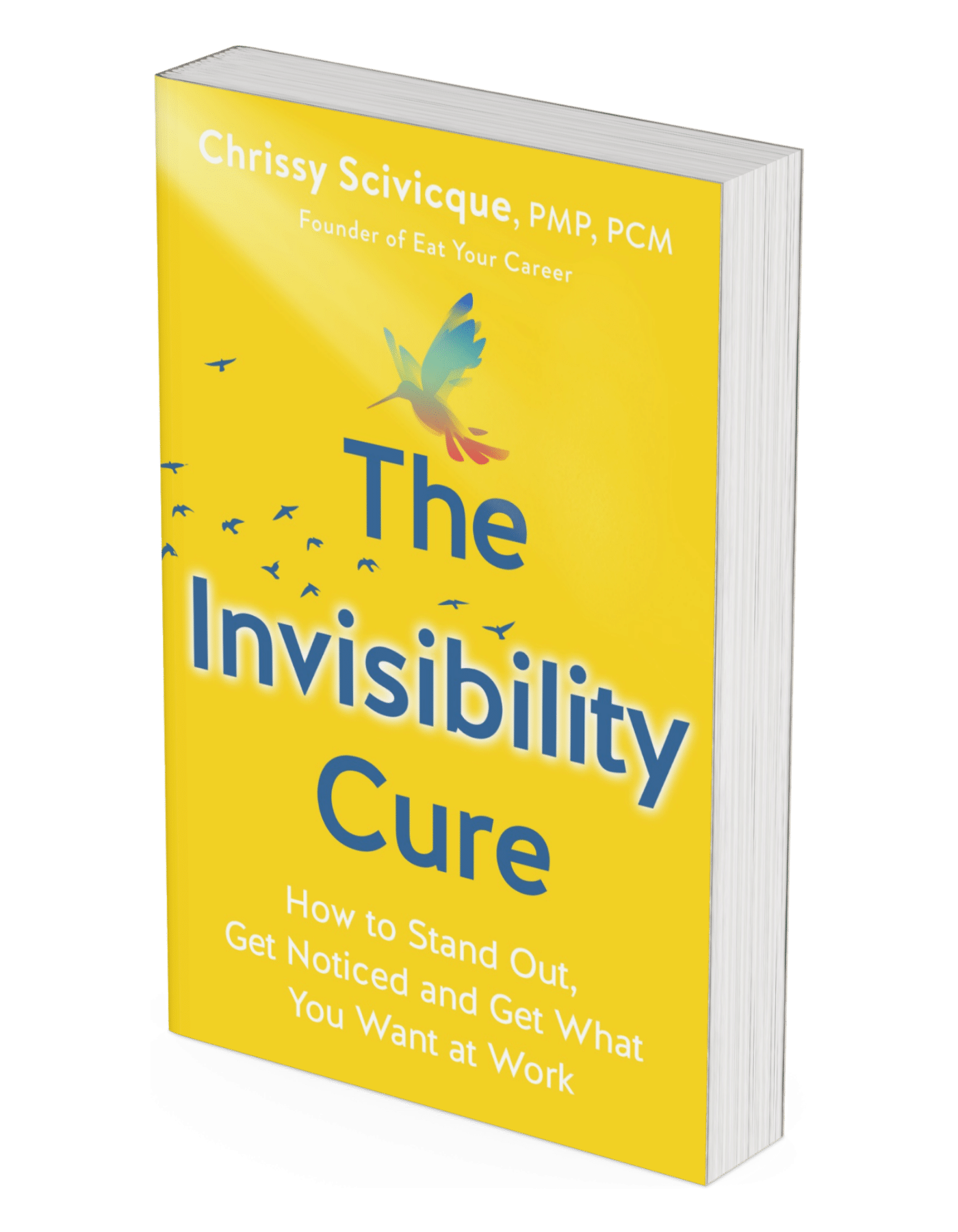 The Invisibility Cure